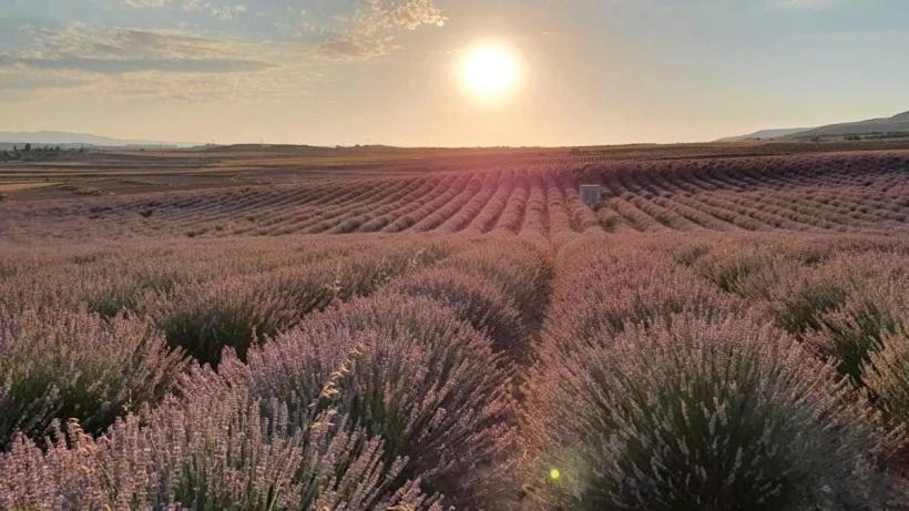 Disfruta Teruel Daire Dış mekan fotoğraf
