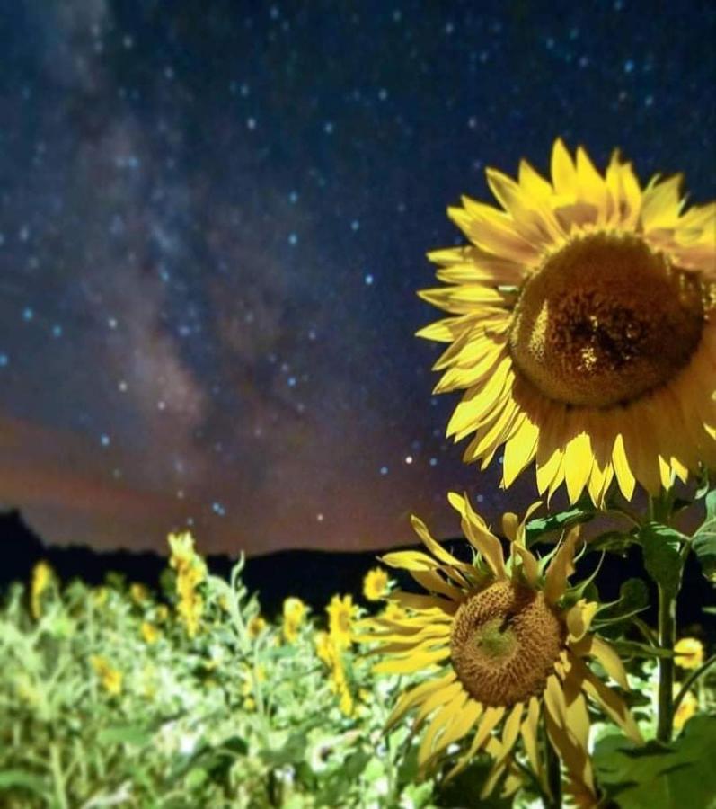 Disfruta Teruel Daire Dış mekan fotoğraf